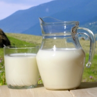 Produção de leite nos Açores cresceu 1,19% nos primeiros nove meses do ano