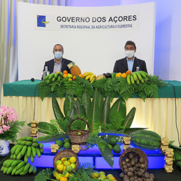 Plano Regional de Desenvolvimento da Fruticultura representa um compromisso político forte na diversificação agrícola nos Açores, afirma João Ponte